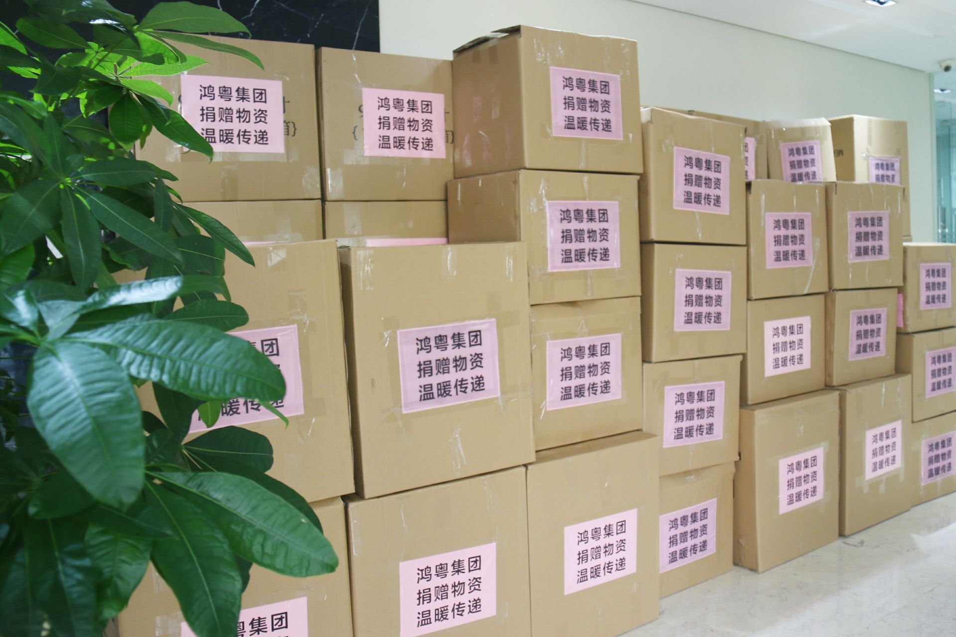 博业体育平台登录官网(中国)官方网站公益回顾丨家国同欢月同圆 温暖满载甘孜州(图1)